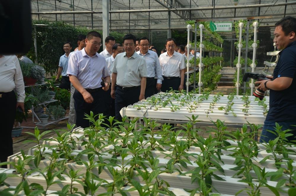 科技助農(nóng)，播撒光的種子  精準(zhǔn)扶貧，助力鄉(xiāng)村振興