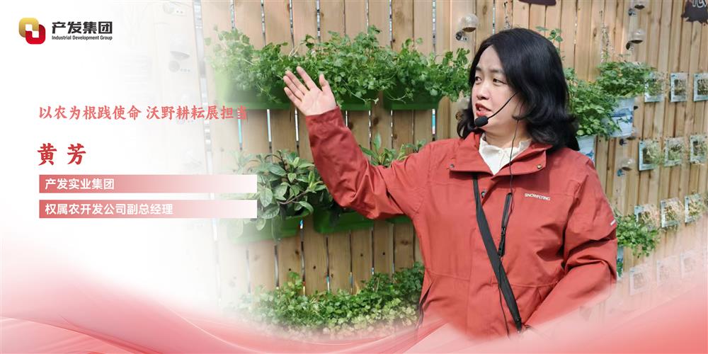 巾幗綻芳華 | 產(chǎn)發(fā)實(shí)業(yè)集團(tuán)權(quán)屬農(nóng)開發(fā)公司 黃芳：以農(nóng)為根踐使命，沃野耕耘展擔(dān)當(dāng)